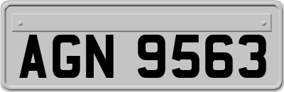 AGN9563