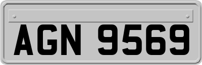 AGN9569