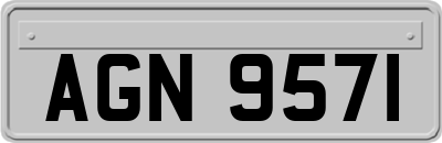 AGN9571
