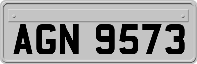AGN9573