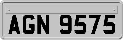 AGN9575