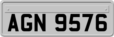 AGN9576