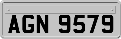 AGN9579