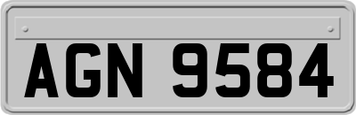 AGN9584