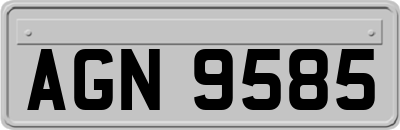 AGN9585