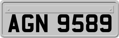 AGN9589