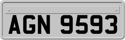AGN9593