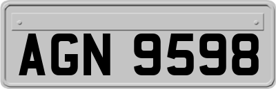 AGN9598