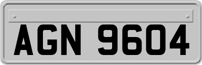 AGN9604