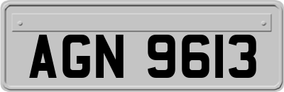 AGN9613