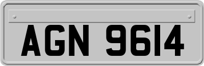 AGN9614