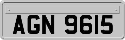 AGN9615