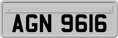 AGN9616
