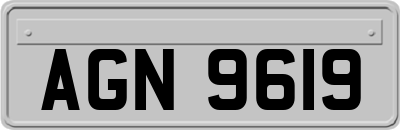 AGN9619