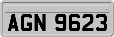 AGN9623