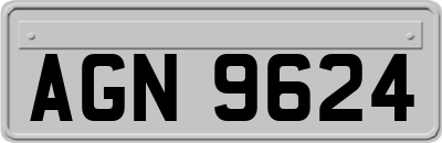 AGN9624