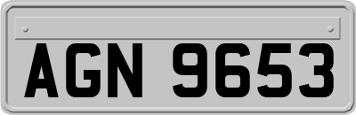 AGN9653