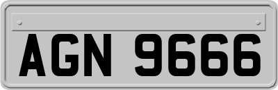 AGN9666