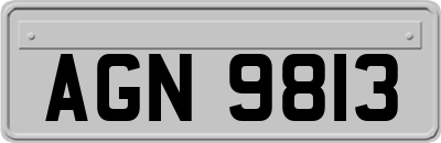 AGN9813