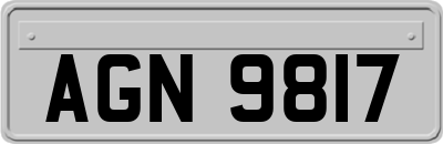 AGN9817