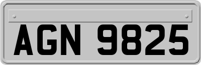 AGN9825