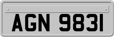 AGN9831