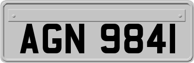 AGN9841