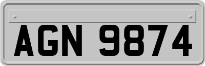 AGN9874