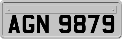 AGN9879