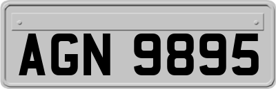 AGN9895