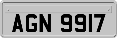 AGN9917