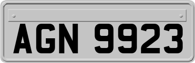AGN9923