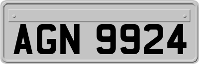 AGN9924