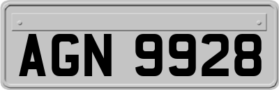 AGN9928