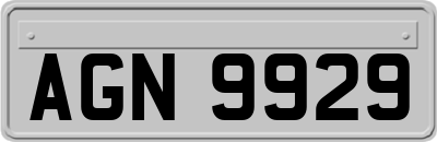 AGN9929