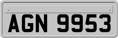 AGN9953