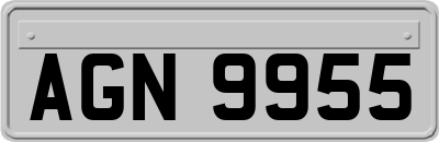 AGN9955