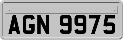 AGN9975
