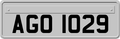 AGO1029