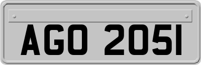 AGO2051