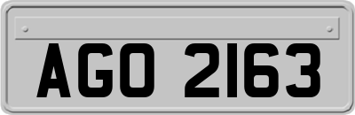 AGO2163
