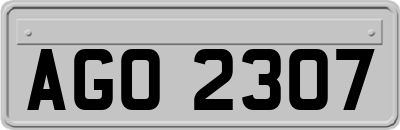 AGO2307