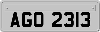 AGO2313