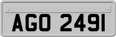 AGO2491