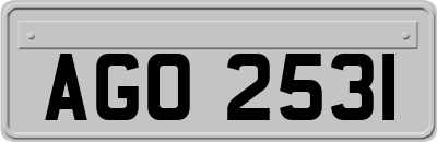 AGO2531