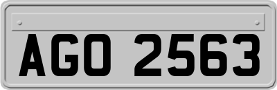 AGO2563