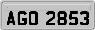 AGO2853