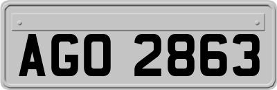 AGO2863