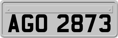 AGO2873