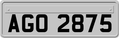 AGO2875